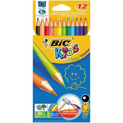 Bic Kids Evolution Kuru Boya Takımı 12 Renk