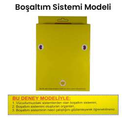 Anka Art - Boşaltım Sistemi Modeli