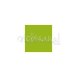 Cadence - Cadence Cam ve Seramik Boyası Kivi Yeşil No:290 45ml