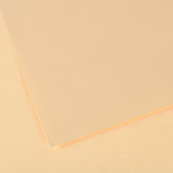 Canson Ingres Vidalon Tabaka 100g 50x65cm 25li 48 Krem