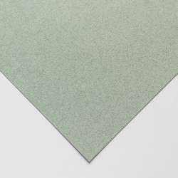 Clairefontaine - Clairefontaine Ingres Pastel Kağıdı 50x65cm 5li Paket Grey