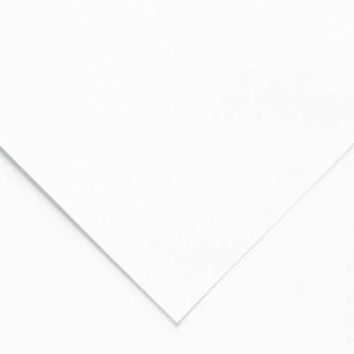Clairefontaine Ingres Pastel Kağıdı 50x65cm 5li Paket White