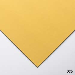 Clairefontaine - Clairefontaine Pastelmat Pastel Kağıdı 50x70cm 360g 5li Paket Buttercup