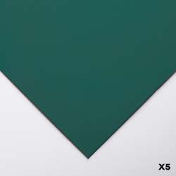 Clairefontaine - Clairefontaine Pastelmat Pastel Kağıdı 50x70cm 360g 5li Paket Dark Green