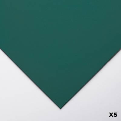 Clairefontaine Pastelmat Pastel Kağıdı 50x70cm 360g 5li Paket Dark Green