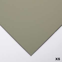 Clairefontaine - Clairefontaine Pastelmat Pastel Kağıdı 50x70cm 360g 5li Paket Dark Grey