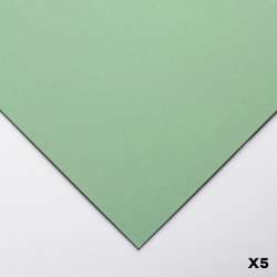 Clairefontaine - Clairefontaine Pastelmat Pastel Kağıdı 50x70cm 360g 5li Paket Light Green