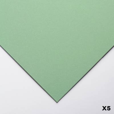 Clairefontaine Pastelmat Pastel Kağıdı 50x70cm 360g 5li Paket Light Green