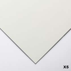 Clairefontaine - Clairefontaine Pastelmat Pastel Kağıdı 50x70cm 360g 5li Paket Light Grey