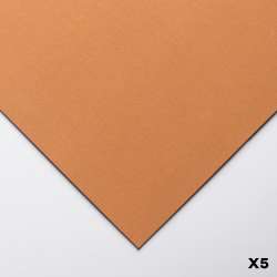 Clairefontaine - Clairefontaine Pastelmat Pastel Kağıdı 50x70cm 360g 5li Paket Naturel Sienna