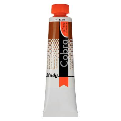 Cobra Su Bazlı Yağlı Boya 40ml 234 Raw Sienna