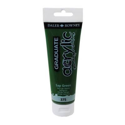 Daler Rowney Graduate Akrilik Boya 120ml Sap Green (375)