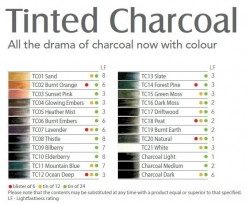Derwent - Derwent Tinted Charcoal Sulandırılabilen Renkli Füzen Kalem (1)