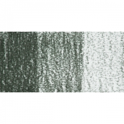 Derwent - Derwent Tinted Charcoal Sulandırılabilen Renkli Füzen Kalem TC14 Forest Pine