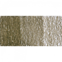 Derwent - Derwent Tinted Charcoal Sulandırılabilen Renkli Füzen Kalem TC15geen Moss