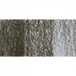 Derwent - Derwent Tinted Charcoal Sulandırılabilen Renkli Füzen Kalem TC16 Dark Moss