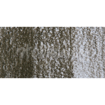 Derwent Tinted Charcoal Sulandırılabilen Renkli Füzen Kalem TC16 Dark Moss