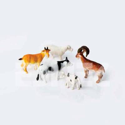 Eshel Renkli Evcil Hayvanlar 1-200 Paket İçi:4