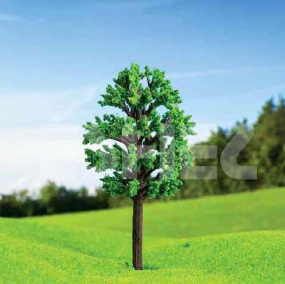 Eshel Zelkova Ağacı 6cm Paket İçi:2