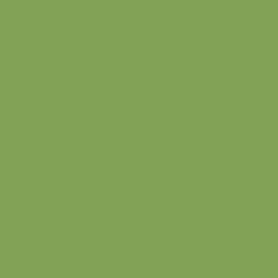 Faber Castell - Faber Castell Pitt Pastel Kalem 168 Earth Green Yellowish