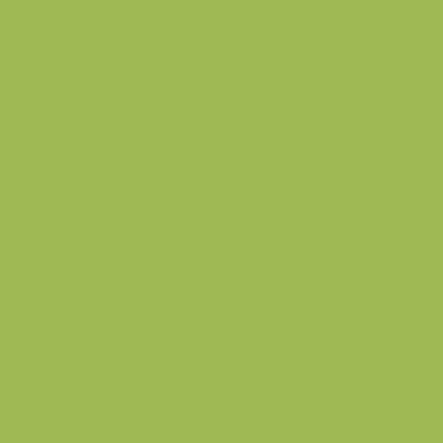 Faber Castell Pitt Pastel Kalem 170 May Green