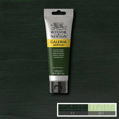 Winsor&Newton Galeria Akrilik Boya 120 ml No:311 Hookers Green