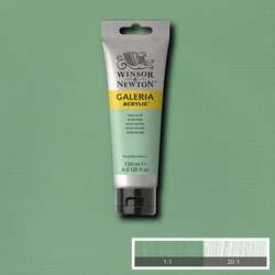 Galeria - Winsor&Newton Galeria Akrilik Boya 120 ml No:435 Pale Olive