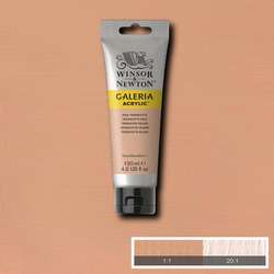 Galeria - Winsor&Newton Galeria Akrilik Boya 120 ml No:437 Pale Terracotta