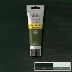 Galeria - Winsor&Newton Galeria Akrilik Boya 120 ml No:447 Olive Green