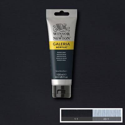 Winsor&Newton Galeria Akrilik Boya 120 ml No:465 Paynes Gray