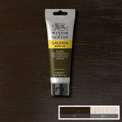 Winsor&Newton Galeria Akrilik Boya 120 ml No:554 Raw Umber