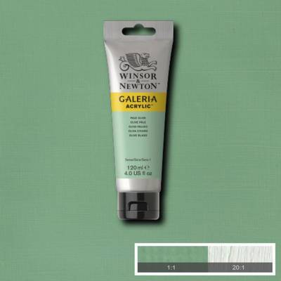 Galeria 120ml Akrilik Boya No:435 Pale Olive