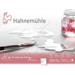 Hahnemühle - Hahnemühle Harmony Sulu Boya Blok 300g 12 Yp Cold Pressed 30x40