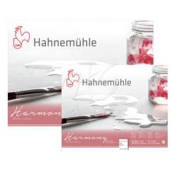 Hahnemühle - Hahnemühle Harmony Sulu Boya Blok 300g 12 Yaprak Cold Pressed