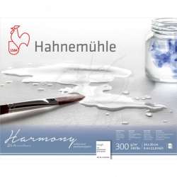 Hahnemühle - Hahnemühle Harmony Sulu Boya Blok 300g 12 Yp Rough Grain 24x30