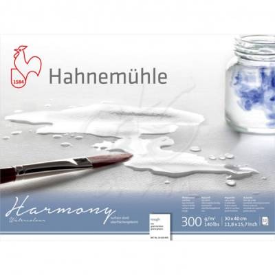 Hahnemühle Harmony Sulu Boya Blok 300g 12 Yp Rough Grain 30x40