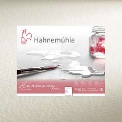 Hahnemühle - Hahnemühle Harmony Sulu Boya Kağıdı 300g 50x65 10lu Cold Pressed