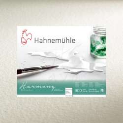 Hahnemühle - Hahnemühle Harmony Sulu Boya Kağıdı 300g 50x65cm 10lu Hot Pressed