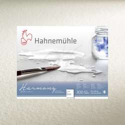 Hahnemühle - Hahnemühle Harmony Sulu Boya Kağıdı 300g 50x65cm 10lu Rough Grain