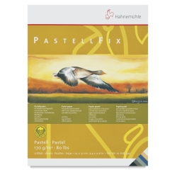 Hahnemühle - Hahnemühle PastellFix Pastel Blok 170g 24x32cm 12 Yaprak 10628490