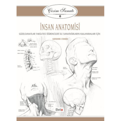 Koleksiyon Yayınları İnsan Anatomisi