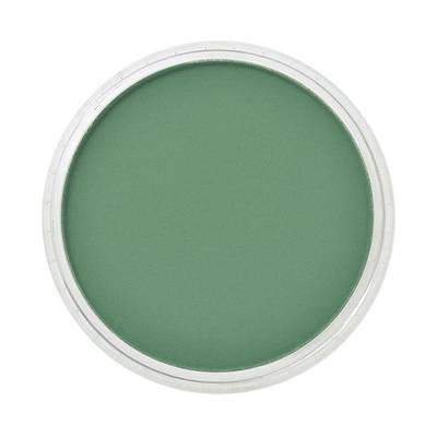 PanPastel No:640.3 Permanent Green Shade