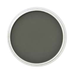 PanPastel - PanPastel No:660.1 Chrom Oxide Green Extra Dark