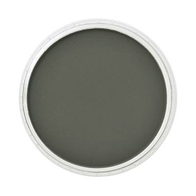 PanPastel No:660.1 Chrom Oxide Green Extra Dark