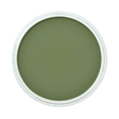 PanPastel No:660.3 Chromium Oxide Green Shade