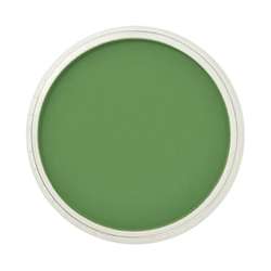 PanPastel - PanPastel No:660.5 Chromium Oxide Green