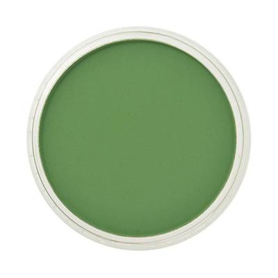 PanPastel No:660.5 Chromium Oxide Green