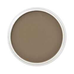 PanPastel - PanPastel No:780.5 Raw Umber