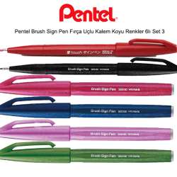 Pentel - Pentel Brush Sign Pen Fırça Uçlu Kalem Koyu Renkler 6lı Set 3 (1)