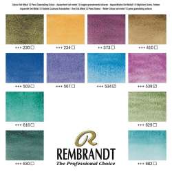 Rembrandt Water Colour Box Sulu Boya Seti 12 Renk + Fırça Granulating - 5